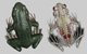 Complete 3D Frog Anatomy Software launched! frog anatomy 3D