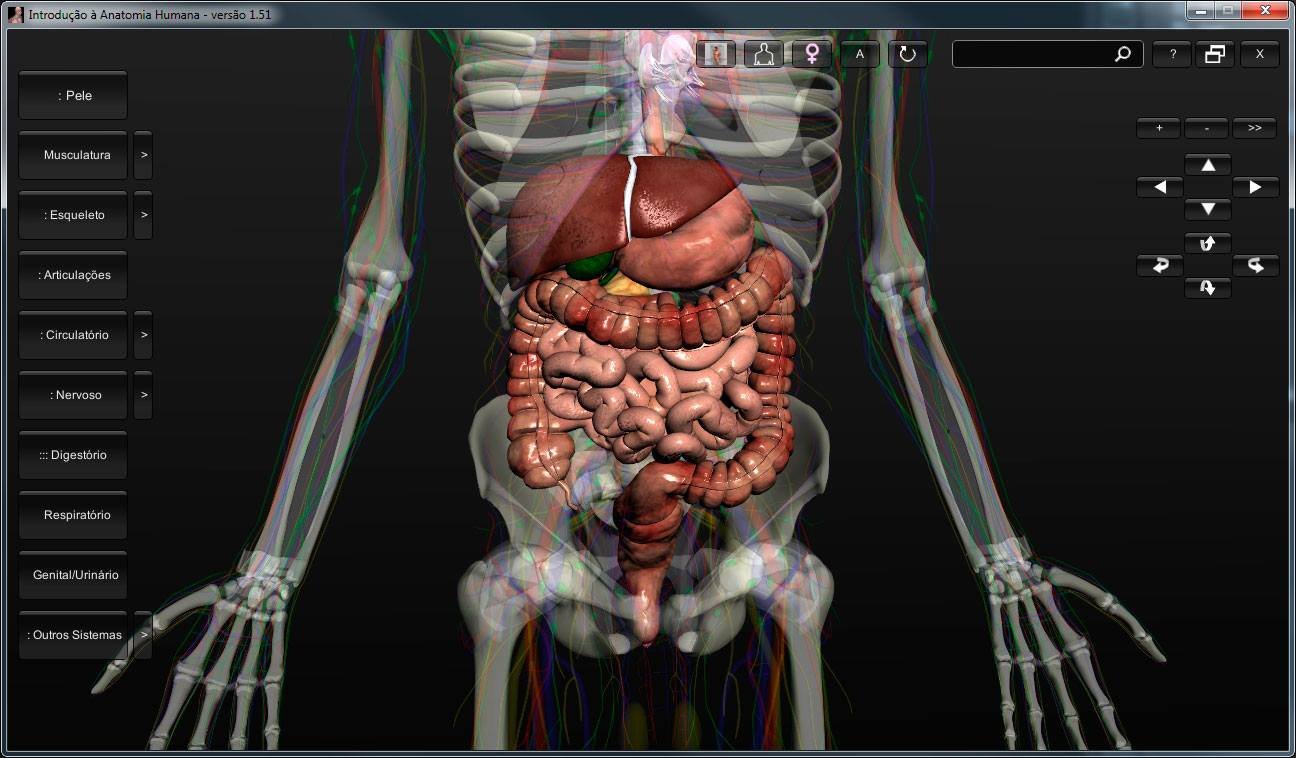 anatomia humana 3d