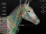 Atualização 1.24 do software anatomia equina 3D software anatomia do cavalo 3d